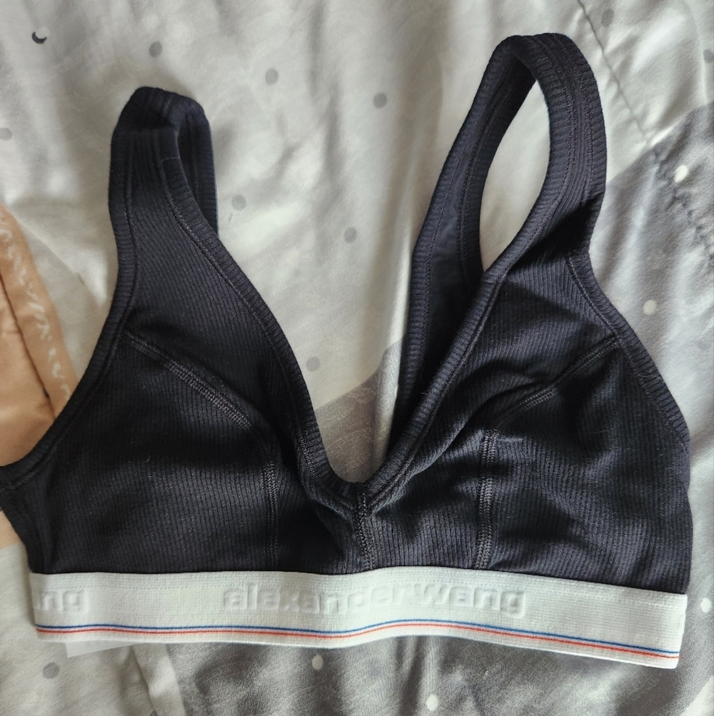 Alexander Wang Triangle Bralette Small New